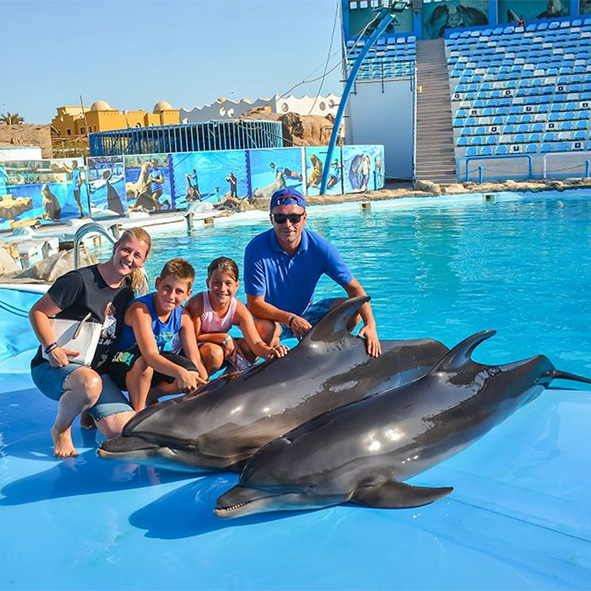 Delfinarium – Dolphins World