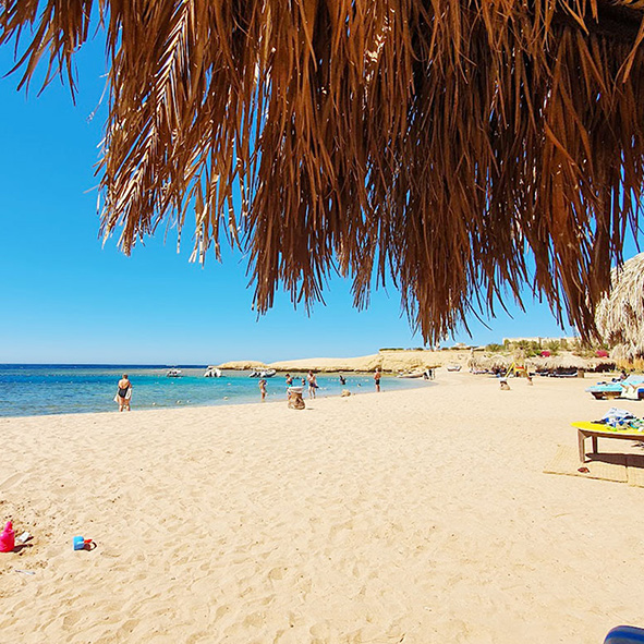 Sharm El Naga - Ogród Karalowy